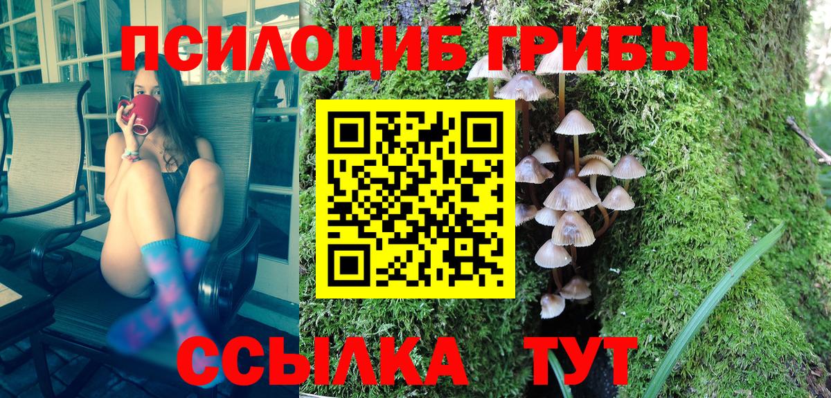 Псилоцибиновые грибы мухоморы Звенигород